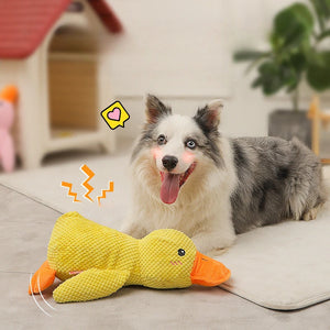 Quack-quack Duck Dog Toy